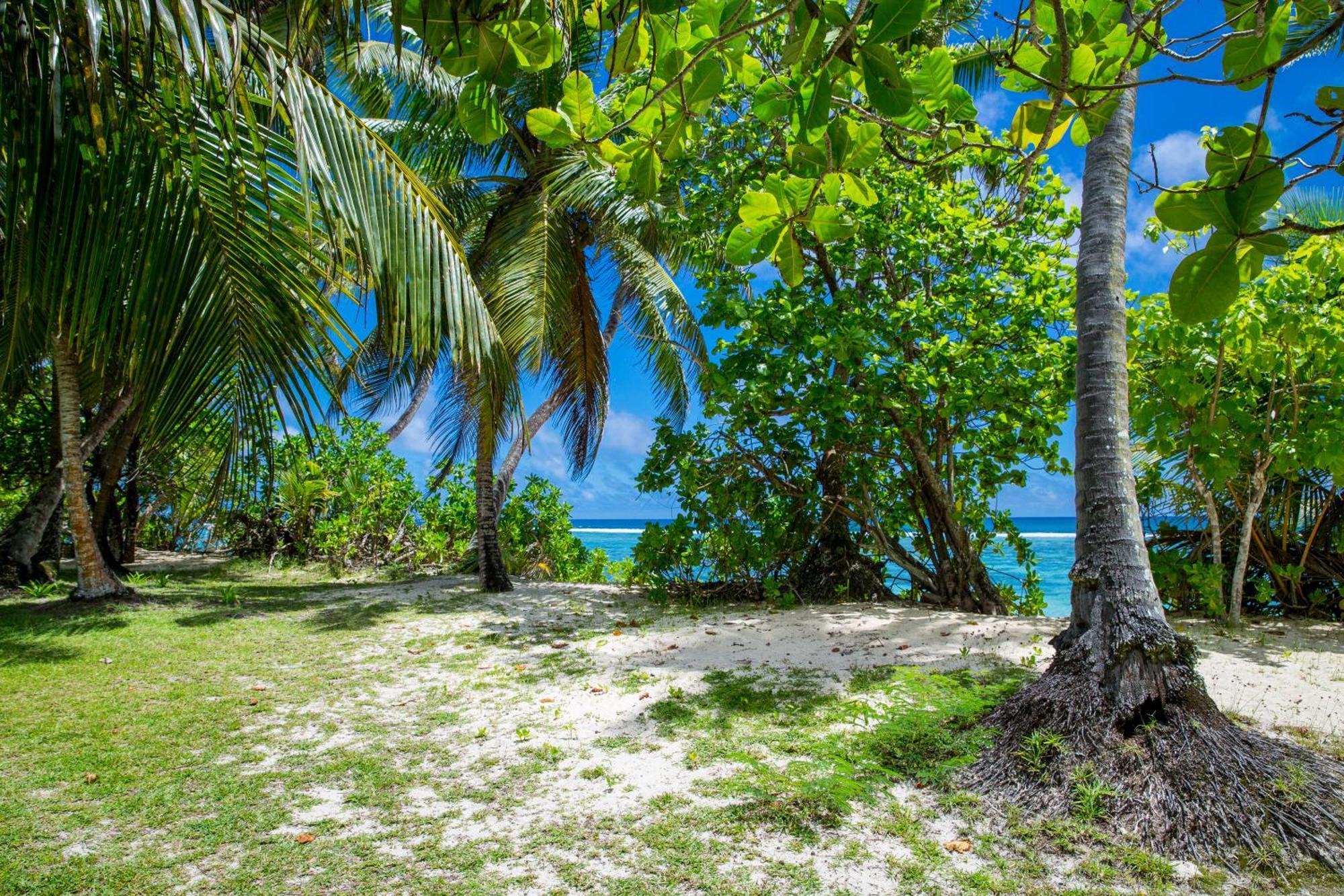 Chalets D'Anse Forbans Selfcatering Такамака Номер фото